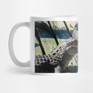 big smiling alligator Mug